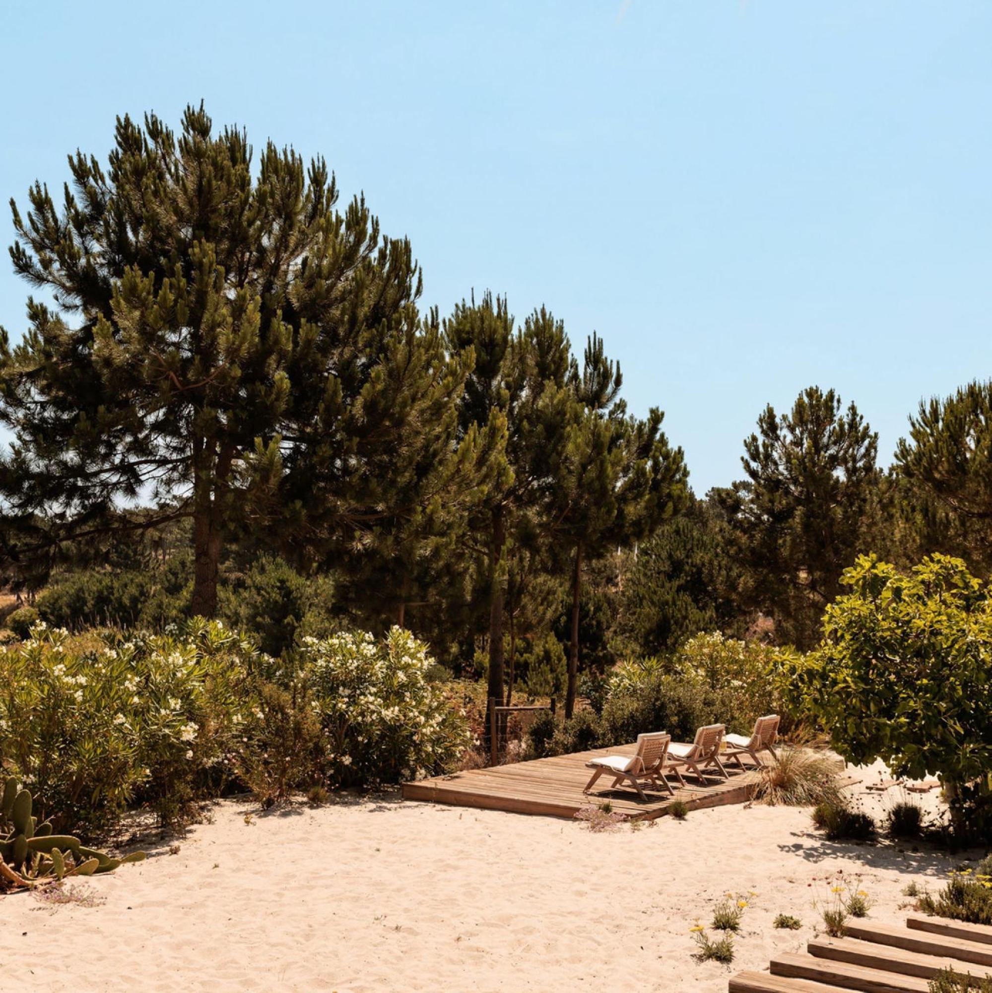 Campo De Arroz Villa Carvalhal  Oda fotoğraf